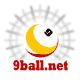 9ball.net logo